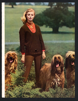Mary Quant Sweater 1960 Afghan Hounds, Fashion Photography