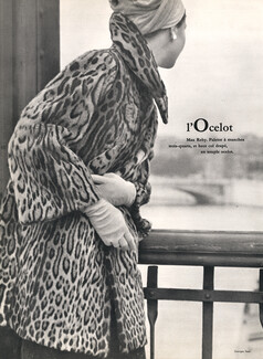 Max Reby 1957 l'Ocelot, Photo Georges Saad