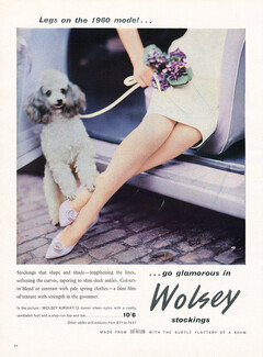Wolsey Nylons (Stockings) 1960 Poodle