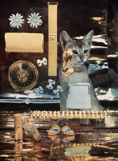 Gold and Silver, 1958 - Garrard, Kutchinsky, Asprey, Boucheron (bracelet), Cartier (earrings), Michael Gosschalk, Abyssinian Kitten, back : Delman, Saxone, Bally, Dolcis
