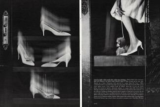 I. Miller, Palizzio, Delman (2) 1959 Phoenix Stockings, Poodle, Photo Ben Rose