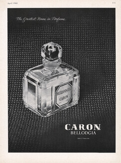 Caron 1962 Bellodgia