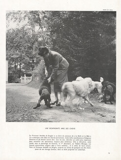 Princesse Amédée de Broglie 1948 Une Bienfaisante Amie des Chiens, Caniches, Lamorlaye, Photo Guy Arsac