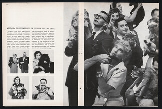 Avedon - Observations on Tender Loving Care 1961 Cats, Pekingese Dog...