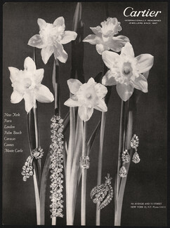 Cartier 1959 Flowers