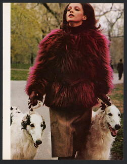 Paul Levy 1971 Borzoi Russian Sighthound
