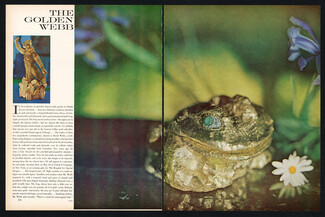 David Webb 1966 Jewel-Eyed Frog, The Golden Webb, Photo Horst