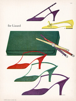 Warhol 1955 New Colors For Lizard, I. Miller, Fleming Joffe, Rolex