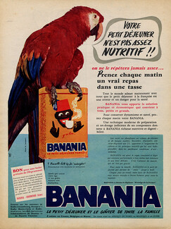 Banania 1960 Parrot Bird