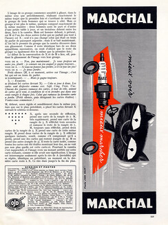 Marchal 1960 Cat Driving Car, Jean Colin