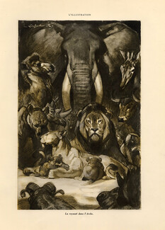 Henri Deluermoz 1935 ''La Naissance des Rois'' Elephant, Lion, Lioness