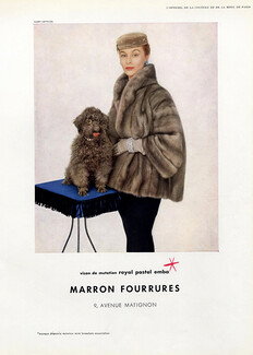 Marron Fourrures (Fur Coat) 1954 Photo Harry Meerson, Poodle