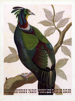 Caron 1946 Les Lophophores Fards Pour Les Yeux, Eyes-liner, Bird