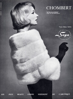 Chombert 1959 Vison blanc, Photo Ginsbourger