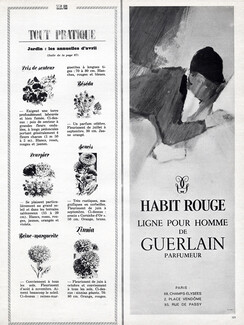 Guerlain (Perfumes) 1965 Habit Rouge, Jockey