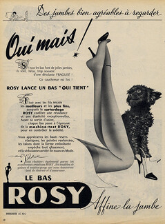 Rosy 1956 Stockings Hosiery, Poodle Dog