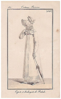 Le Journal des Dames et des Modes 1817 Costume Parisien N°1648