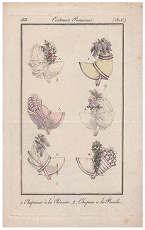 Le Journal des Dames et des Modes 1813 Costume Parisien N°1306 Hats