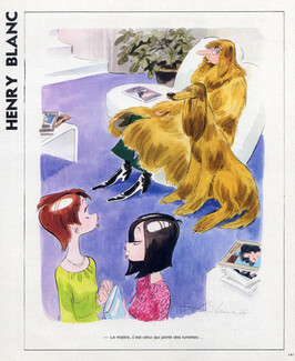 Henry Blanc 1978 Afghan Hound, Costume Disguise, Sighthound