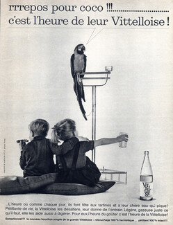Vittelloise (Drinks) 1963