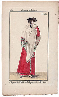 Le Journal des Dames et des Modes 1810 Costume Parisien N°1097 Kashmir Shawl