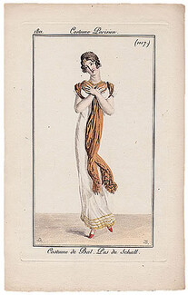 Le Journal des Dames et des Modes 1811 Costume Parisien N°1117 Shawl, Ball Gown