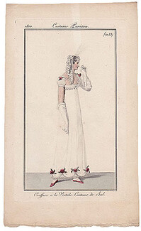 Le Journal des Dames et des Modes 1810 Costume Parisien N°1033 Ball Gown