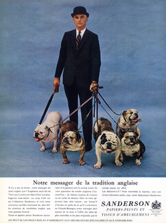 Sanderson (Wallpapers) 1963 English Bulldog