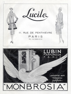 Lucile (Lady Duff Gordon) 1925 Fashion Illustration