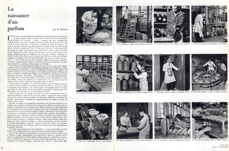 La Naissance d'un Parfum, 1963 - Guerlain (Perfumes) Factory, Text by R. Perraud