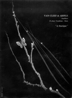 Van Cleef & Arpels (Jewels) 1956 Butterfly Clip