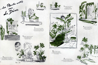 Les Plantes Vertes dans le Décor, 1940 - Christian Bérard House Plants in Decoration, Ficus, Philodendron, Strelitzias, Asparagus