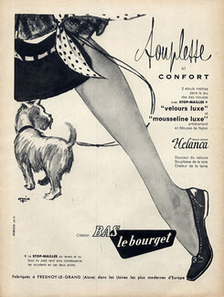 Le Bourget (Stockings Hosiery) 1957 Fox Terrier