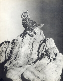Cartier (High Jewelry) 1947 Owl Clip, Photo Kefer Dormer