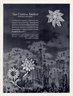 Van Cleef & Arpels (Jewels) 1961 Flowers Clips