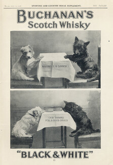 Black & White (Whisky) 1911 Buchanan's