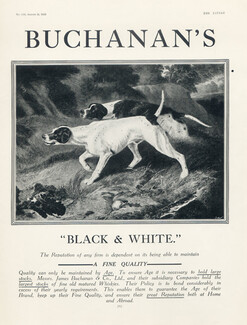Black & White (Whisky) 1923 Buchanan's, Hunting Dogs