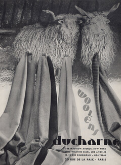 Ducharne (Fabric) 1944 Woolens, Sheeps, American Ad