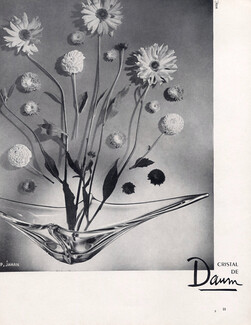 Daum (Crystal Glass) 1958 Photo Pierre Jahan