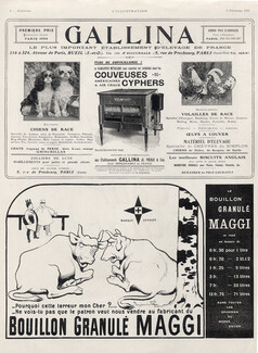 Maggi (Benjamin Rabier) 1908 Gallina (Dogs) Ets G. Préaux & Cie