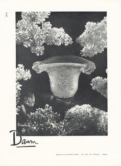 Daum 1951