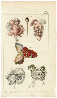 Journal des Luxus und der Moden 1814 n°8, Hats, Hand-colored engraving