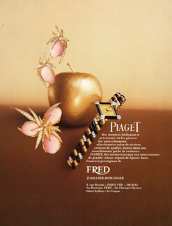 Piaget 1974 Fred