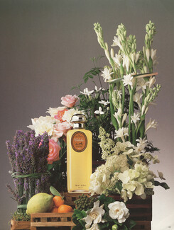 Hermès (Perfumes) 1987 "Parfums en Fleurs", Calèche, Photo Roger Turqueti