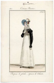Le Journal des Dames et des Modes 1817 Costume Parisien N°1695