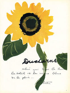 Ducharne 1948 Sunflower, Colette
