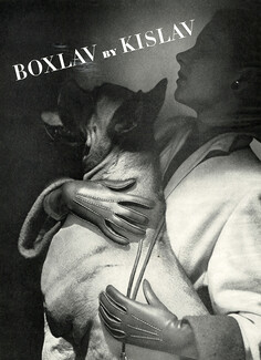 Kislav 1945 Boxer Dog