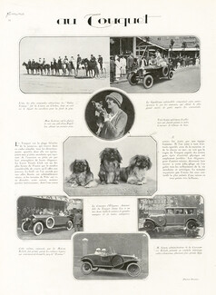 Au Touquet 1924 "Concours de chiens de luxe" Pekingese Dog