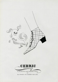 Cédric (Shoes) 1962 Pekingese Dog