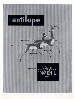 Weil (Perfumes) 1951 Antilope, Massa